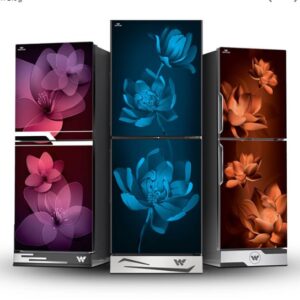 Consumer Electronics